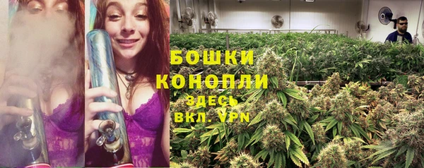 ALPHA PVP Алексеевка