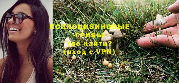 ALPHA PVP Алексеевка